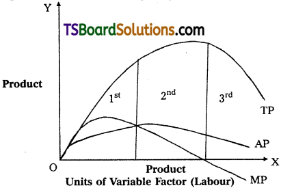 TS Inter 1st Year Economics Study Material Chapter 4 Production Analysis 2
