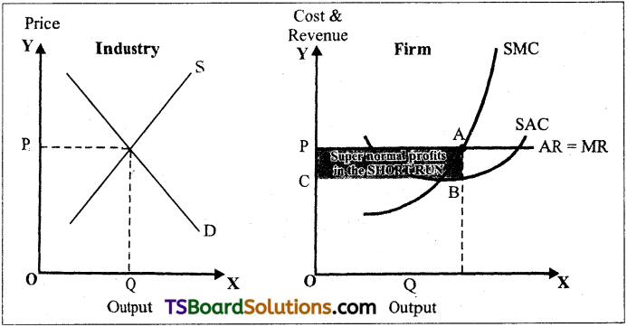 TS Inter 1st Year Economics Study Material Chapter 5 Market Analysis 3