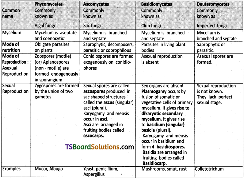 TS Inter 1st Year Botany Study Material Chapter 2 Biological Classification 1