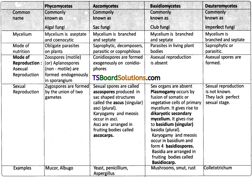 TS Inter 1st Year Botany Study Material Chapter 2 Biological Classification 2