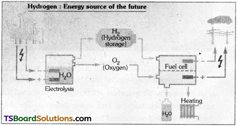 TS Inter 1st Year Environmental Education Study Material Chapter 10 Demand for Energy and Energy Consumption Patterns 6