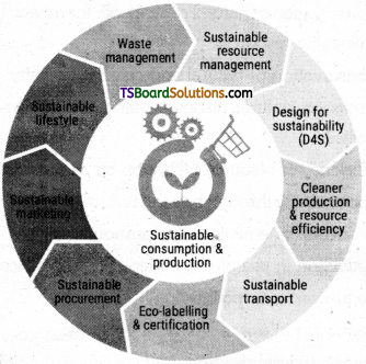 TS Inter 1st Year Environmental Education Study Material Chapter 19 What is Sustainable Development 3