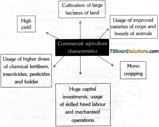 TS Inter 1st Year Environmental Education Study Material Chapter 22 Conventional Practices of Agriculture 1