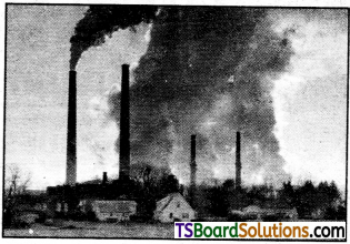 TS Inter 1st Year Environmental Education Study Material Chapter 7 Types, Sources and Effects of Pollution 1