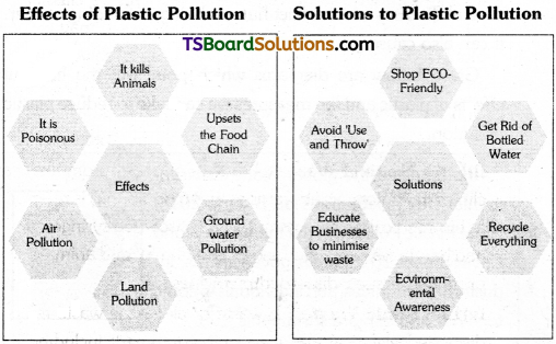 TS Inter 1st Year Environmental Education Study Material Chapter 7 Types, Sources and Effects of Pollution 12