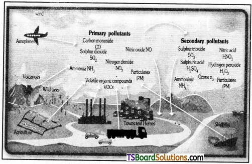 TS Inter 1st Year Environmental Education Study Material Chapter 7 Types, Sources and Effects of Pollution 2