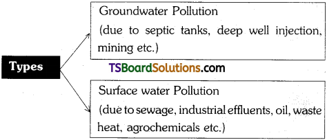 TS Inter 1st Year Environmental Education Study Material Chapter 7 Types, Sources and Effects of Pollution 7
