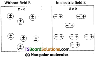 TS Inter 2nd Year Physics Study Material Chapter 5 Electrostatic Potential and Capacitance 13