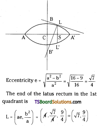 TS Inter Second Year Maths 2B Ellipse Important Questions Short Answer Type L1 Q12
