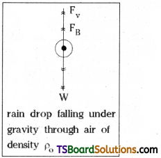 TS Inter 1st Year Physics Study Material Chapter 11 Mechanical Properties of Fluids 20