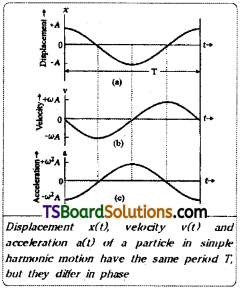 TS Inter 1st Year Physics Study Material Chapter 8 Oscillations 3