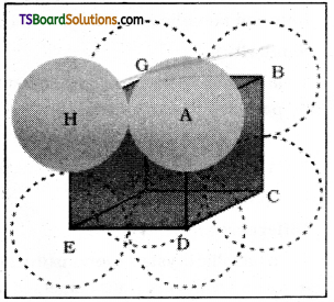 TS Inter 2nd Year Chemistry Study Material Chapter 1 Solid State 8