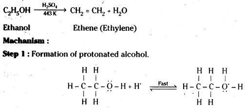 TS Inter 2nd Year Chemistry Study Material Chapter 12(a) Alcohols, Phenols, and Ethers 18