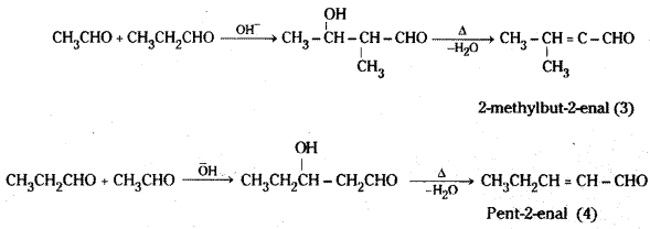 TS Inter 2nd Year Chemistry Study Material Chapter 12(b) Aldehydes, Ketones, and Carboxylic Acids 10