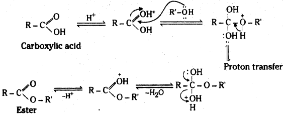 TS Inter 2nd Year Chemistry Study Material Chapter 12(b) Aldehydes, Ketones, and Carboxylic Acids 5