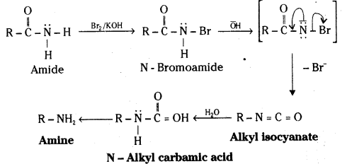 TS Inter 2nd Year Chemistry Study Material Chapter 13 Organic Compounds Containing Nitrogen 28