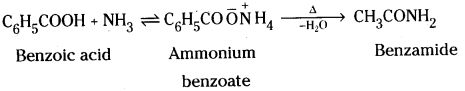 TS Inter 2nd Year Chemistry Study Material Chapter 13 Organic Compounds Containing Nitrogen 3