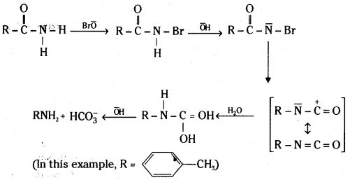 TS Inter 2nd Year Chemistry Study Material Chapter 13 Organic Compounds Containing Nitrogen 32