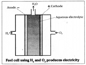 TS Inter 2nd Year Chemistry Study Material Chapter 3(a) Electro Chemistry 20