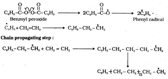 TS Inter 2nd Year Chemistry Study Material Chapter 8 Polymers 10