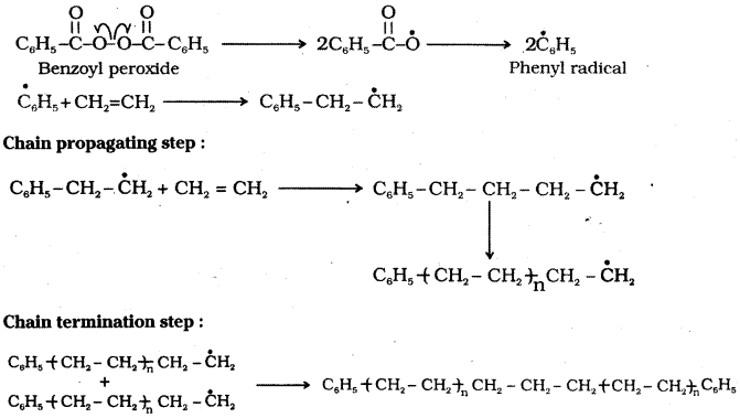 TS Inter 2nd Year Chemistry Study Material Chapter 8 Polymers 4
