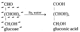 TS Inter 2nd Year Chemistry Study Material Chapter 9 Biomolecules 3